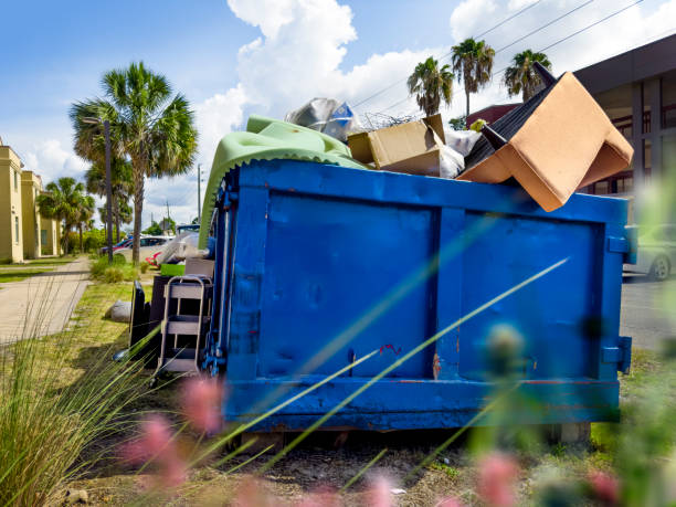 Best Specialty Removal Services in Boca Raton, FL